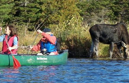 Waterfront Cottage Moosehead Lake - Foto 63
