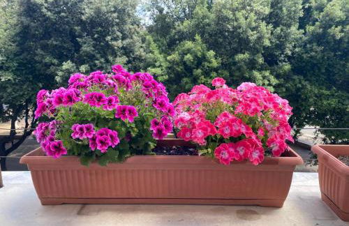 Casa Blu Testaccio - Foto 40