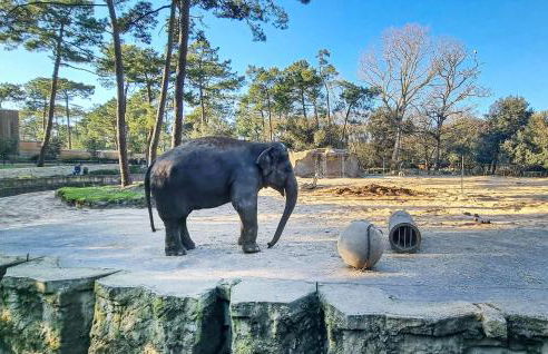 2 Bedroom Amazing Home In Ars-En-Ré - Foto 25