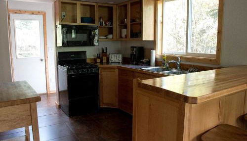 Rustic Log Cabin on the Banks of Kenai Lake, Alaska - Foto 3