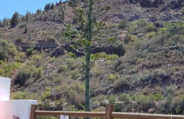 Casa Rural La Hoyita de Tunte - Foto 21