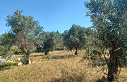 Zeituna Lodge a Porto Cesareo - Foto 23