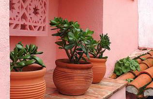 Casa do Limoeiro - sleeps up to 4 comfortably - Foto 36