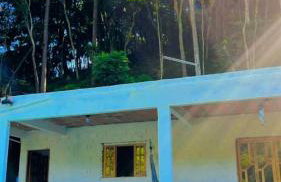 Sítio das Palmeiras - Photo 22