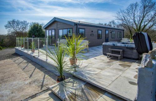 Carn Springs Lodge - 3 Bed - Devonshire Dr - Tenby - Photo 13