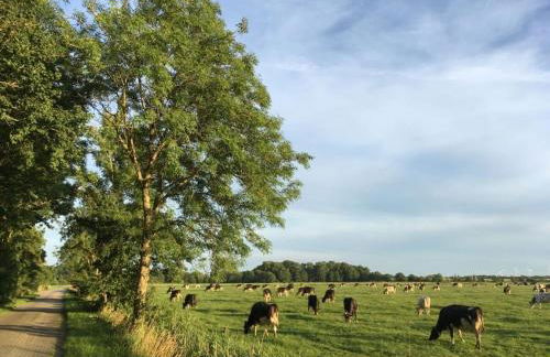 Country House With Garden Near Greetsiel - Foto 45