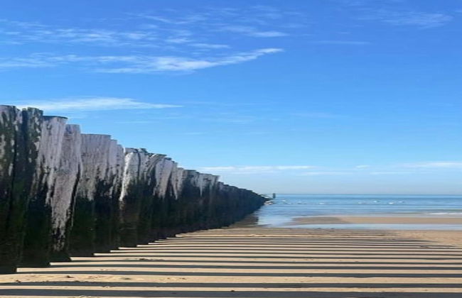 Sunny Zeeland Getaway - Photo 36