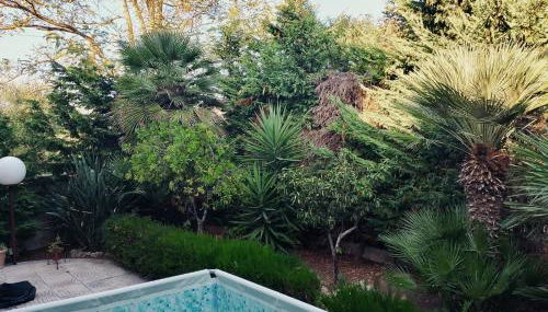 Villa Porto Pirrone - Foto 5, Garden