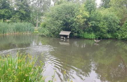 Villa Mondial - Foto 44