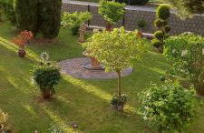 Ferienwohnung Zum Weinberg bis 4 Personen - Im Herzen der Pfalz - Foto 46