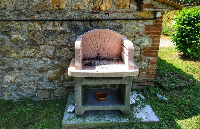 Bellavista farm of Quercini Maurizio - Foto 49