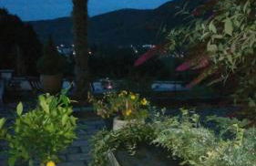 Seeblick Oase - Foto 6