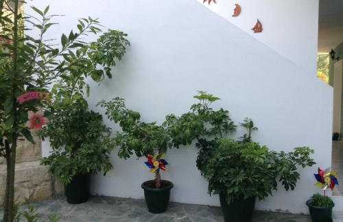 Smile's Studios - Photo 65