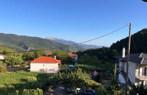 ΑΘΑΜΑΣ - Foto 6