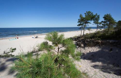 RAJSKA PLAZA Poddąbie Basen odkryty brodziki Basen kryty Plac zabaw Animacje - Foto 35
