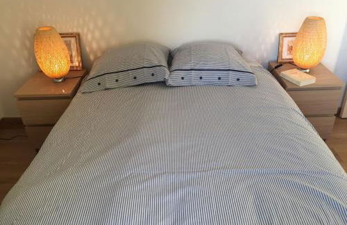 MAS DES VIGNES - View Cité de Carcassonne - Foto 22