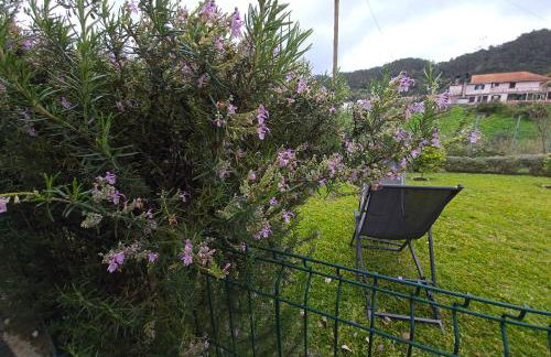 Casa do Manuel - Foto 57