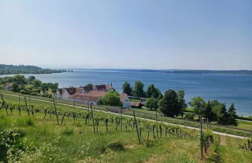 Mojos Bodenseetraum - Photo 41