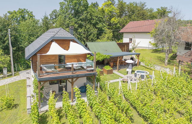 Luxury Vineyard Retreat Matej - Foto 16