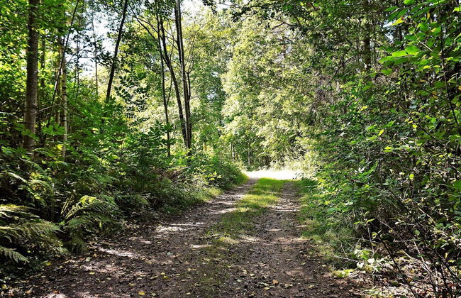 5 Person Holiday Home in Henan - Foto 27