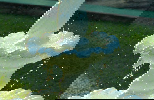 Hotel Fazenda Villa-Forte - Foto 70