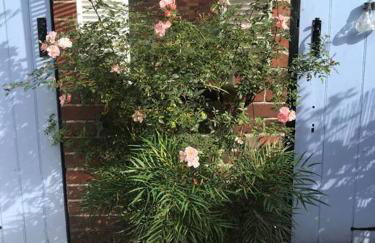 Boutique style cottage Bridgnorth - Foto 21