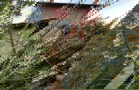 La Torre Rossa - Foto 63