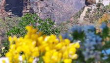 Casa Palmés - Photo 4