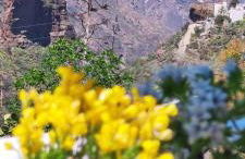 Casa Palmés - Photo 4