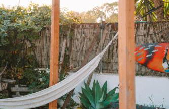 João Jungle - Foto 57