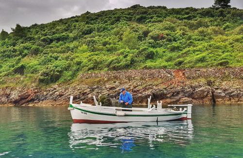 Renovated stone villa on the island Rava, Zadar - Foto 6