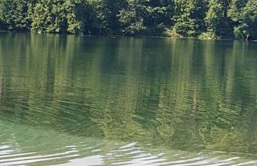 Dom letniskowy nad jeziorem Wigry Staw Suwalszczyzna - Foto 16