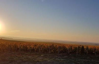 VILLA.H GARDEN - Foto 9