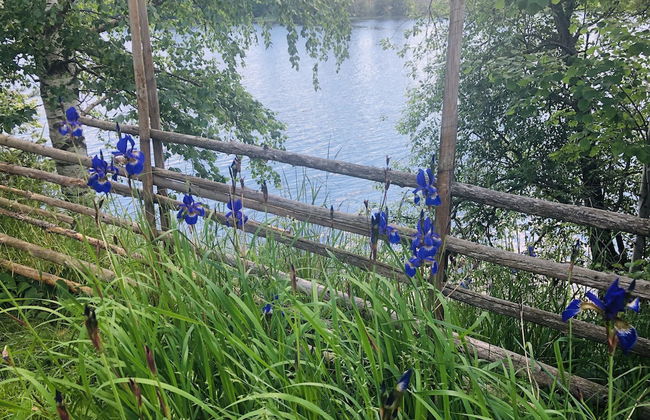 Apple Tree Cabin With River Views - Foto 25