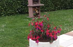 Isard - Le Hameau De La Courbière - Foto 16