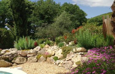 le lavandin - Foto 13