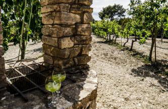 Finca Rural Son Rabassa - Foto 19