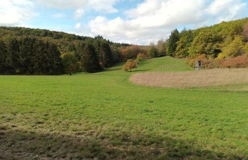 Ferienwohnung in Langgöns - Photo 13