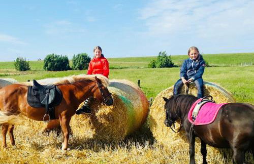 NORDSEE Bauernhof Familie Wulff FeWo "Südfall" - Foto 10