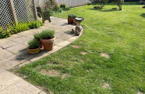 Kelvinside, Seahouses, 2 minute walk into village - Foto 40