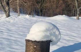 Wildernest Holiday Home - Foto 25