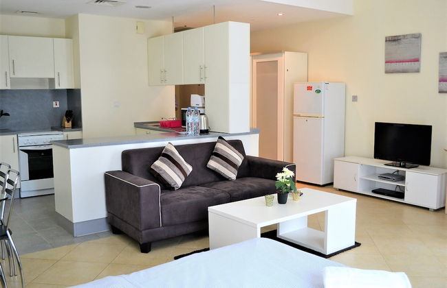 Bright furnished studio near metro in Tecom - ALIA - Photo 1