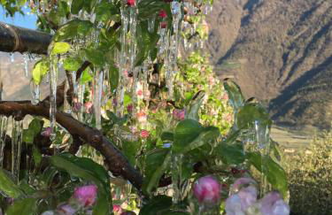 Klostergut - Foto 37