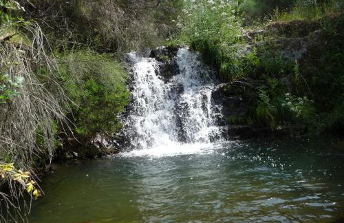 A Velha Casa - Foto 13
