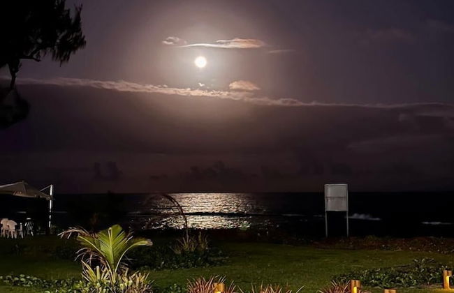 Kauai Beach Residence - Photo 59