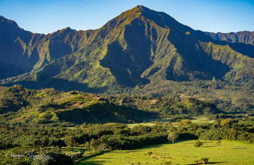 Hanalei Bay Beach Retreat with Waterfall Views - Foto 19