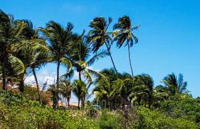 FLAT RIOMAR - Foto 42