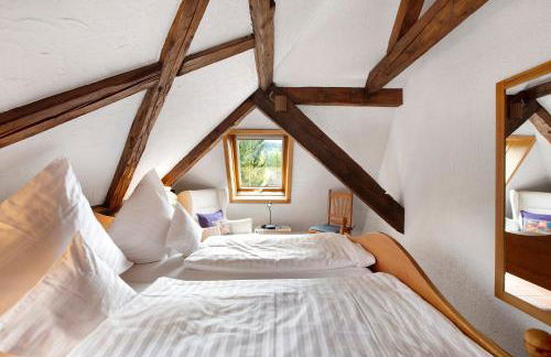 Altes Zollhüsli - Foto 51