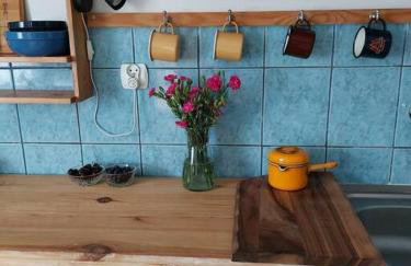 Dom Podróżnika -aktywne wakacje - Foto 21