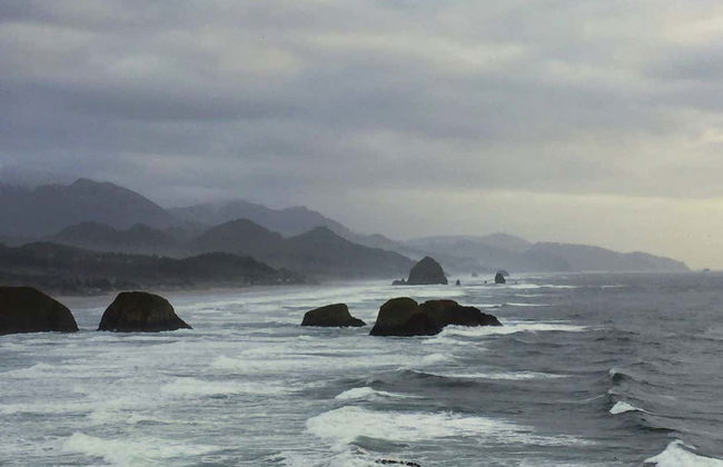 Tour por las playas del norte de Oregón - Foto 4